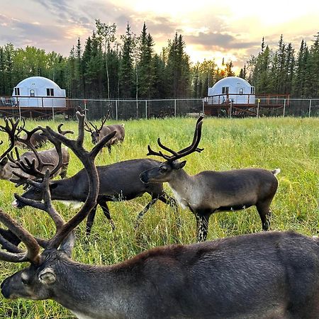 Pleasant Acres Reindeer Ranch Villa Pleasant Valley Eksteriør billede
