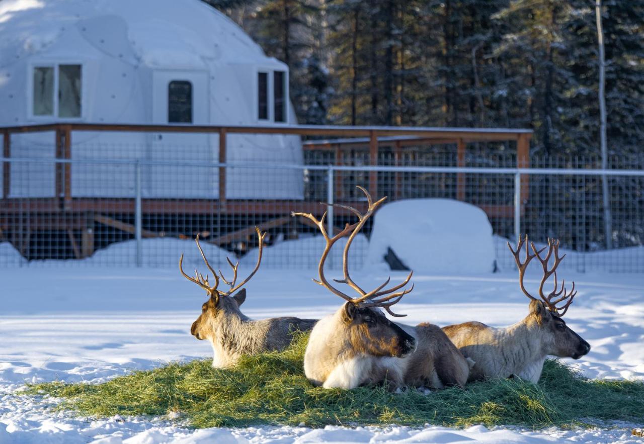 Pleasant Acres Reindeer Ranch Villa Pleasant Valley Eksteriør billede