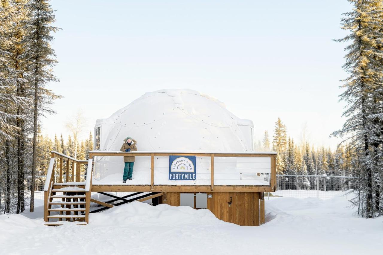 Pleasant Acres Reindeer Ranch Villa Pleasant Valley Eksteriør billede